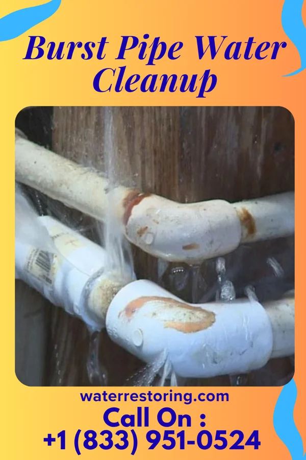Burst Pipe Water Cleanup in Keego Harbor, MI