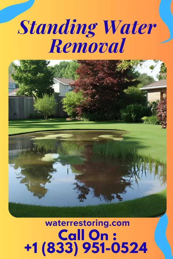 Standing Water Removal in Keego Harbor, MI